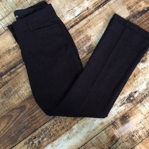 Express Deep Purple Columnist Pant